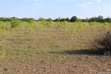 245 County Road 356 - Photo 9