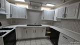 11914 Alamo Blanco - Photo 16