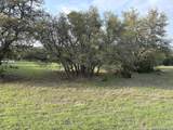 LOT 381 Palomino Springs - Photo 5