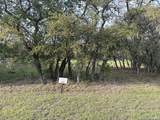 LOT 381 Palomino Springs - Photo 6