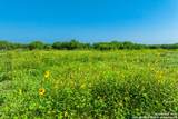 3911 County Road 1000 - Photo 13