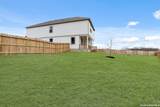 11103 Luckenbach Loop - Photo 25
