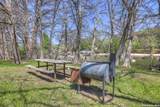 1262 Elm Creek Rd - Photo 97