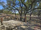 506 Oak Grove - Photo 32