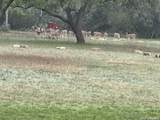 196 B Rock Bottom Rd - Photo 52