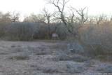 3103 Fm 462 - Photo 20