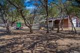 2444 Purgatory - Photo 16