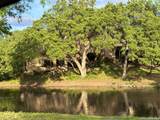 11702 Pepper Tree - Photo 51