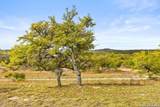 232 Crooked Oak - Photo 31