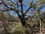 2147 Tejas Trail - Photo 37