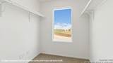 15506 Mint Patch Meadow - Photo 22