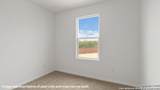 15506 Mint Patch Meadow - Photo 25