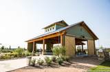 12185 Promise Bloom - Photo 7