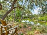 1556 Canyon Lake Drive - Photo 4