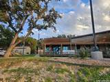 1036 Borgfeld Dr - Photo 2