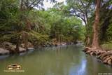206 Roaring Creek - Photo 39