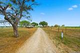 12897 La Vernia Rd - Photo 6
