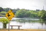 21759 Forest Waters - Photo 27
