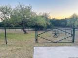 1715 Mountain Springs - Photo 41