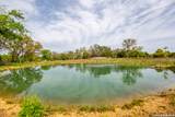 395 Bluff Creek - Photo 4