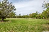 395 Bluff Creek - Photo 5