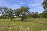 134 Stallion Estates Dr - Photo 51