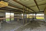 4680 Dreibrodt - Photo 37