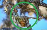 348 Rocky Road - Photo 21