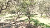 7821 Elk Dr. - Photo 29