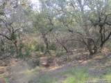 34750 Shelly Bridge Pt - Photo 10