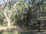 34750 Shelly Bridge Pt - Photo 11