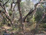 34750 Shelly Bridge Pt - Photo 12