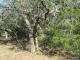 34750 Shelly Bridge Pt - Photo 13