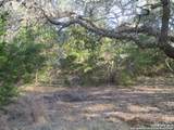34750 Shelly Bridge Pt - Photo 15