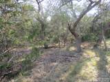 34750 Shelly Bridge Pt - Photo 8