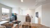 140 Laysan Albatross - Photo 20