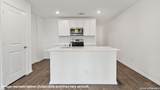 146 Lilli's Lane - Photo 30