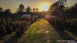 27000 Highway 146 N - Photo 17