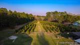 27000 Highway 146 N - Photo 18