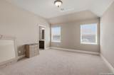 18223 Branson Fls - Photo 48