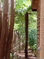 2039 Thicket Trail Dr - Photo 63