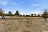 6464 Babcock Road - Photo 40