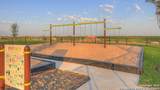 137 Morning Side Grove - Photo 34