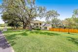 29279 Seabiscuit Dr - Photo 3