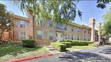 5359 Fredericksburg Rd - Photo 1