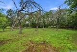 340 Rio Oak - Photo 25