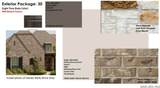 448 Desert Cactus - Photo 4
