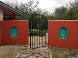 1438 Napier Ave - Photo 42