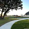 133 Trotting Horse - Photo 28