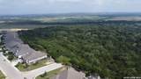29024 Throssel Ln - Photo 48